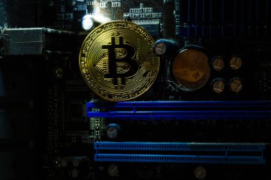 Altın bitcoin ve bilgisayar video bağdaştırıcısı