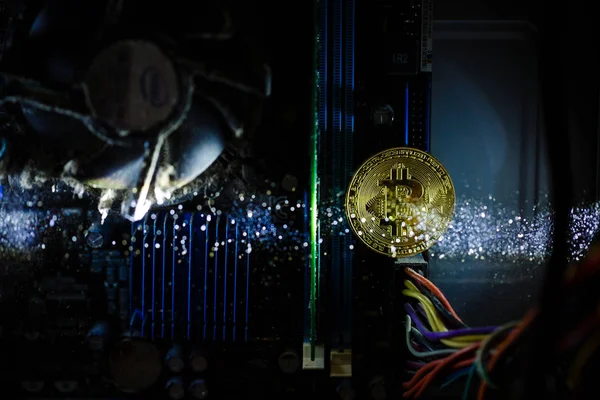 Bilgisayar Devre Kartı Üzerinde Altın Bitcoin Cryptocurrency — Stok fotoğraf
