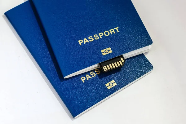 Blue Passports Memory Card Usb Cable White Background — Stock Photo, Image