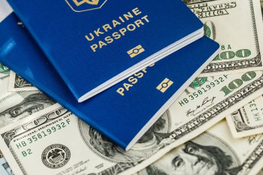 biyometrik pasaport ve banknot yüz dolar vize ücretsiz seyahat kavramının