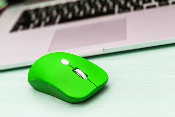 Green computer mouse on white background