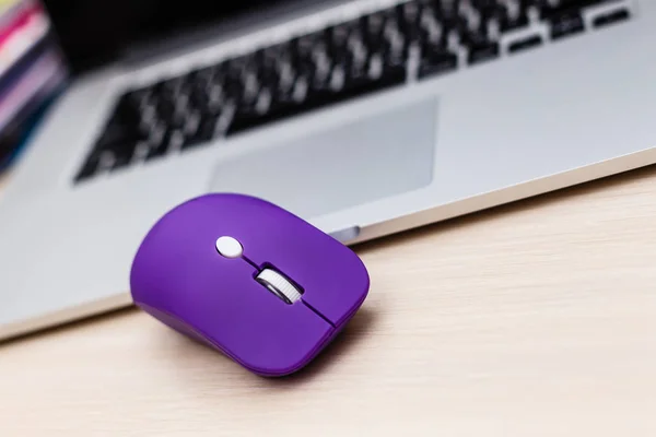 purple wireless computer mouse and laptop