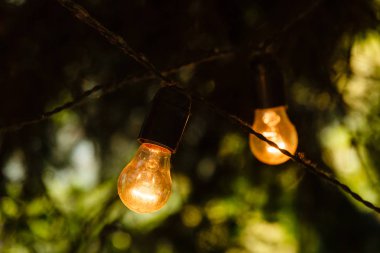 Arka bahçesinde bir satır asılı açık dize ışıklar 