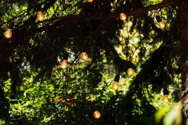 Outdoor string lights hanging on line in backyard