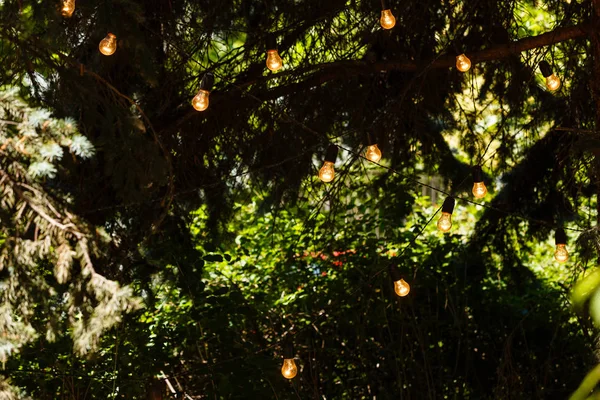 Lumières Cordes Extérieures Suspendues Ligne Dans Cour Arrière — Photo