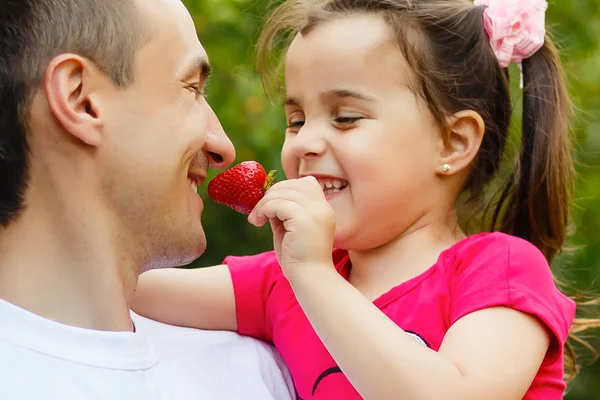 Father and daughter eating strawberries in orchard garden. playing together in summer park.