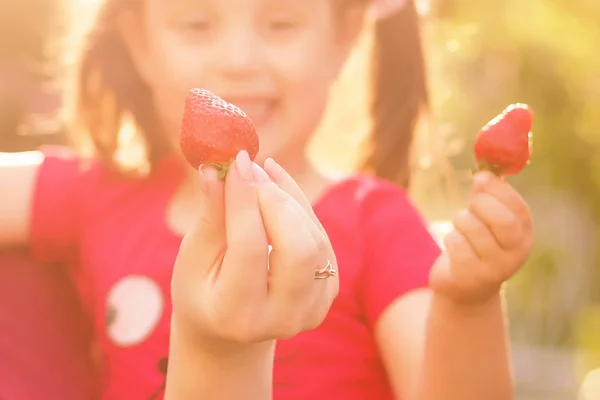 Mama Fiica Mănâncă Căpșuni Grădina Livadă Joacă Împreună Parcul Vară — Fotografie, imagine de stoc