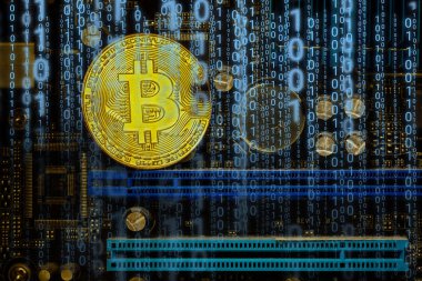Bilgisayar devre kartı üzerinde altın Bitcoin Cryptocurrency 