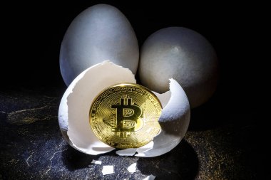 Bitcoin with break eggs shell on black background clipart