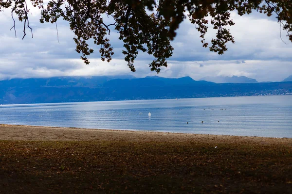 Podzimní Krajina Park Podzim Jasné Barvy Podzimu Parku Jezera — Stock fotografie