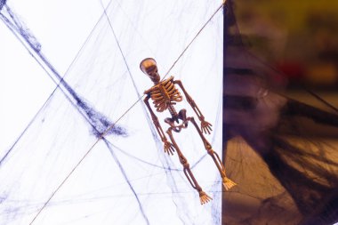 Şehirdeki bir yelkenli gemisinin yakınında.