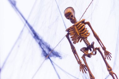 İnsan elinin yakınında gökyüzünde büyük bir haç tutuyor.