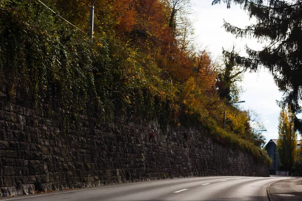 Foresta Autunnale Con Strada Alberi — Foto Stock