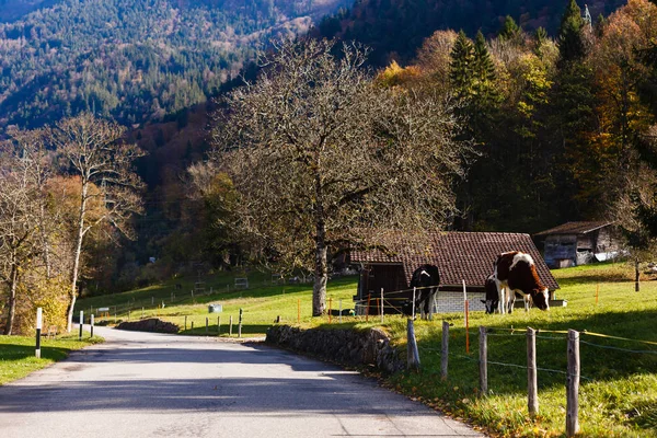 Село Швейцарии Осенью — стоковое фото