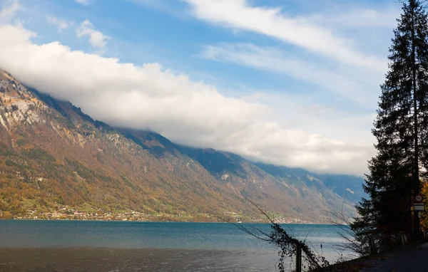 Lacul Interlaken Toamna Anului Elveția — Fotografie, imagine de stoc