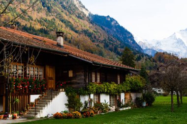 Sonbahar Interlaken İsviçre, Alp Dağları arka planda