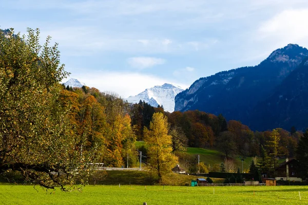 Осень Interlaken Швейцарии Альпы Горы Фоновом Режиме — стоковое фото
