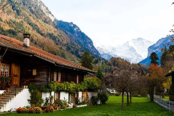 Sonbahar Interlaken Sviçre Alp Dağları Arka Planda — Stok fotoğraf