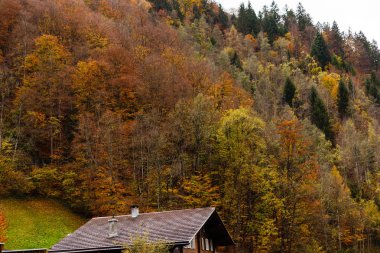 Dağlı ve ormanlı sonbahar manzarası