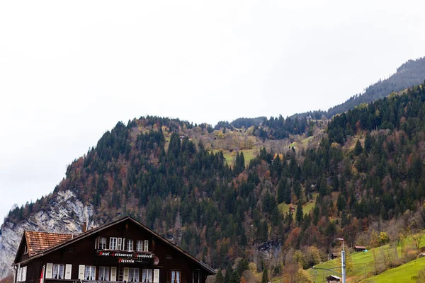 Paesaggio Montano Con Erba Verde Montagne — Foto Stock