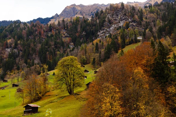 Горный Пейзаж Осенью — стоковое фото