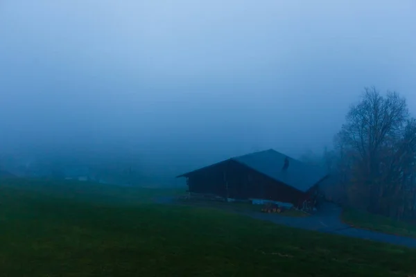 Ländliche Landschaft Mit Nebel Und Bäumen — Stockfoto