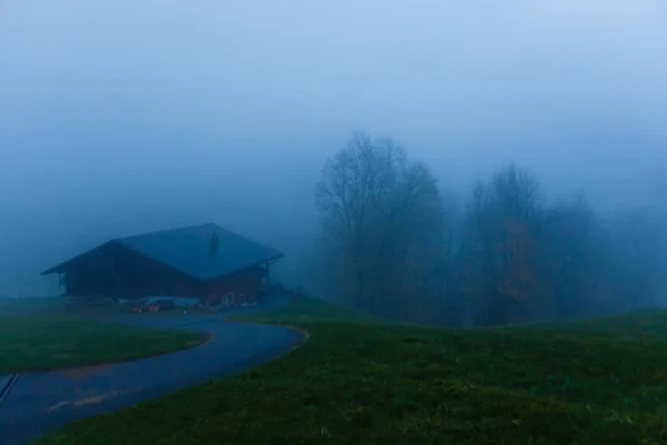 Krajobraz Wiejski Mgłą Drzewami — Zdjęcie stockowe