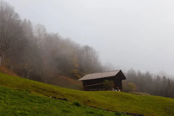 霧と木の山の風景 — ストック写真