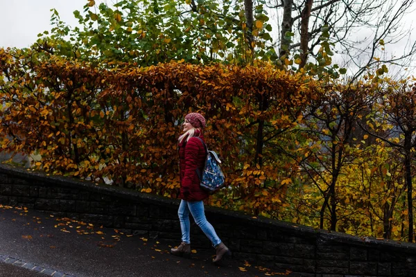 Dziewczyna Turystów Mgliste Góry Jesień — Zdjęcie stockowe