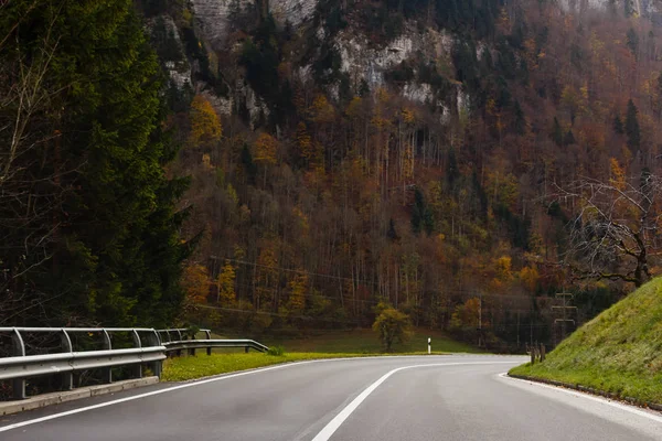 Bergstrasse Urwaldregion Schweiz — Stockfoto