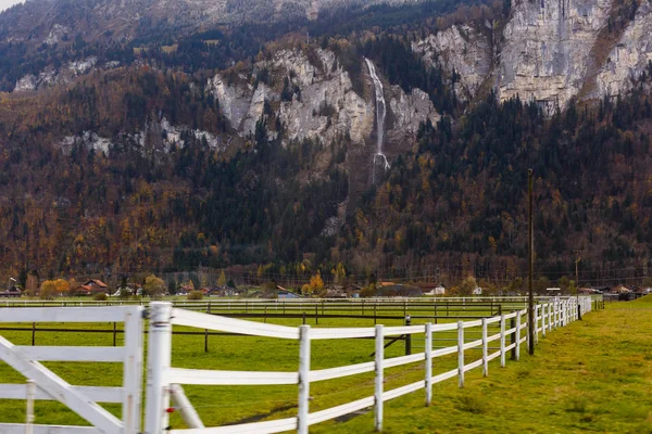 Поле Горы Осеннее Время Швейцария — стоковое фото