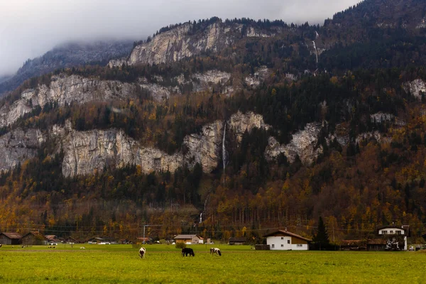 Pueblo Montañas Región Jungfrau Suiza — Foto de stock gratuita