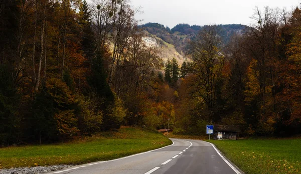 Bergstrasse Urwaldregion Schweiz — Stockfoto