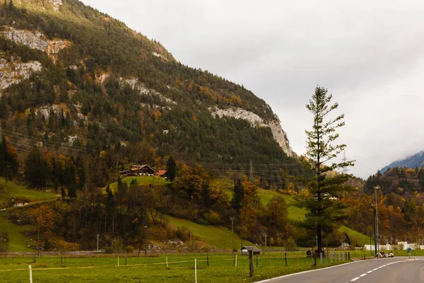 Vedere Scenică Drumului Prin Munții Toamnă Ziua Tulbure — Fotografie, imagine de stoc