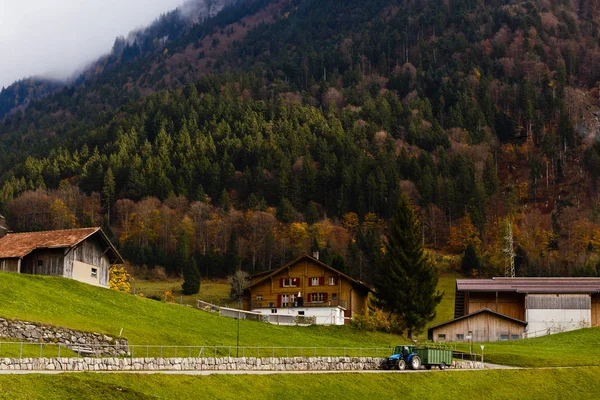 Malerischer Blick Auf Die Herbstliche Berglandschaft Unter Bewölktem Himmel — kostenloses Stockfoto