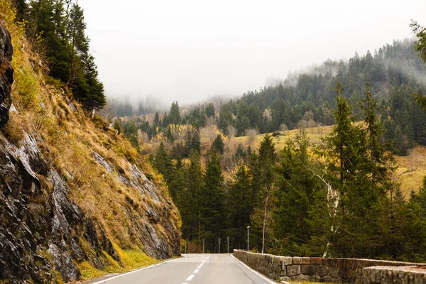 Vedere Scenică Drumului Prin Munții Toamnă Ziua Tulbure — Fotografie de stoc gratuită