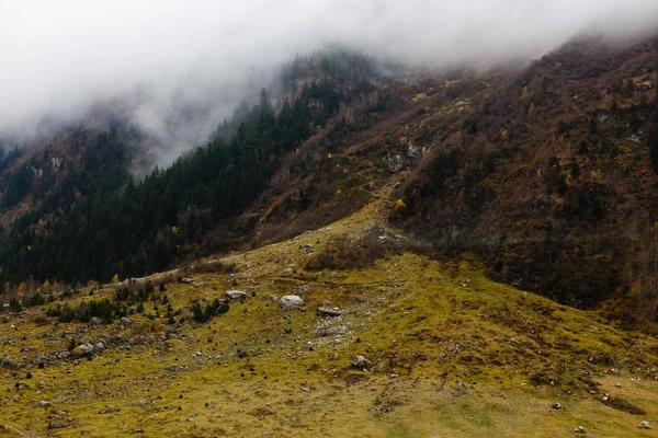 Vedere Scenică Peisajului Montan Toamnă Sub Cerul Înnorat — Fotografie de stoc gratuită