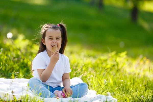 Schönes Kleines Mädchen Das Eis Isst Sitzt Auf Der Grünen — Stockfoto