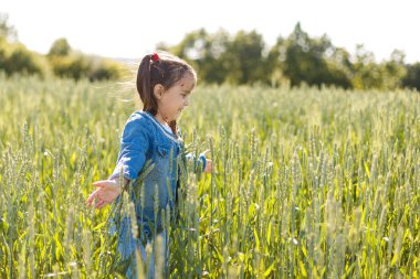 yeşil buğday alanında mutlu küçük kız 