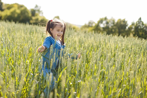 Glückliches Kleines Mädchen Grünen Weizenfeld — Stockfoto
