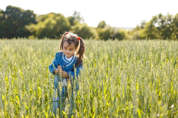 Щаслива Маленька Дівчинка Зеленому Пшеничному Полі — стокове фото