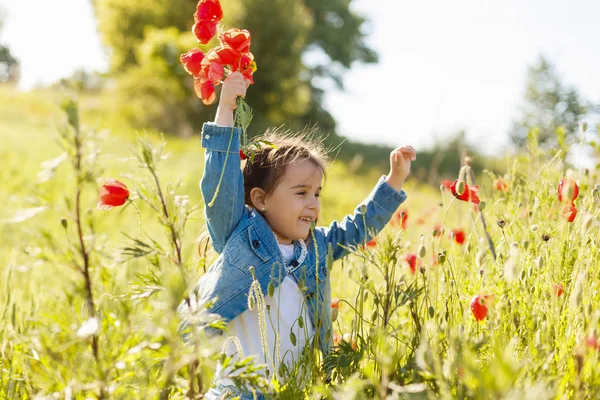 Gadis Kecil Yang Bahagia Berjalan Lapangan Dengan Poppy Merah — Stok Foto