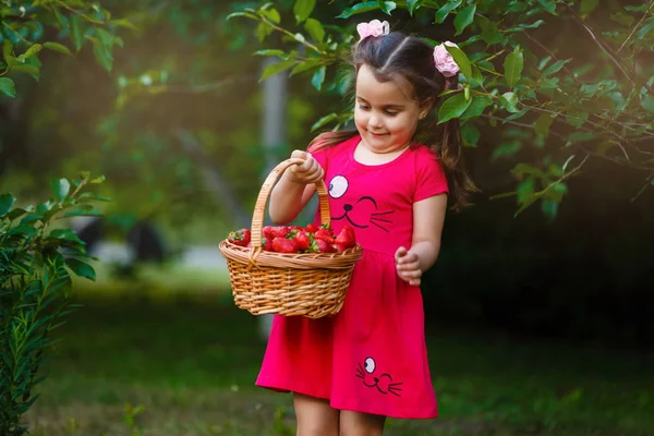 Мила Маленька Дівчинка Позує Свіжою Червоною Полуницею Сонячному Саду — стокове фото