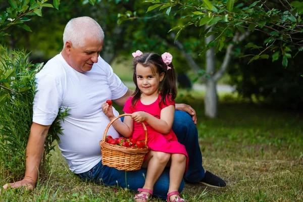 Großvater Und Enkelin Essen Erdbeeren Sommergarten — Stockfoto