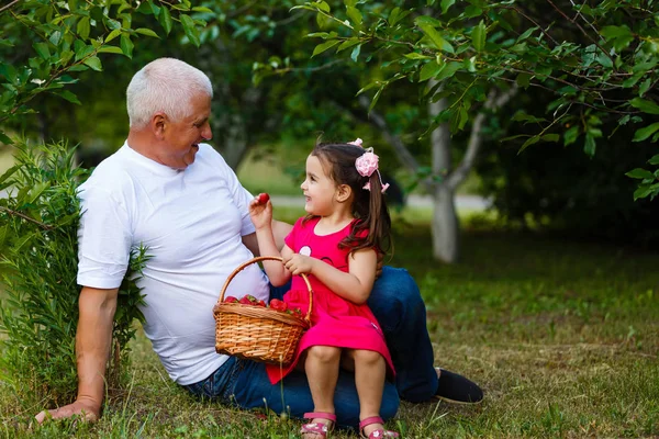 Dziadek Wnuczka Jeść Truskawki Siedząc Zielonym Ogrodzie — Zdjęcie stockowe