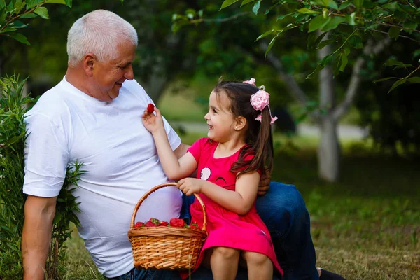 Neta Alimentando Avô Com Morangos — Fotografia de Stock