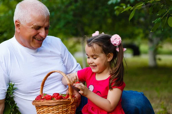 Grand Père Petite Fille Mangeant Des Fraises Assis Dans Jardin — Photo