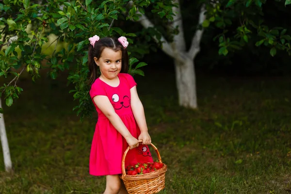 Little Girl Carrying Basket Strawberries — Stock Photo, Image