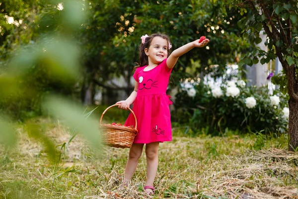 Menina Carregando Cesta Morangos — Fotografia de Stock