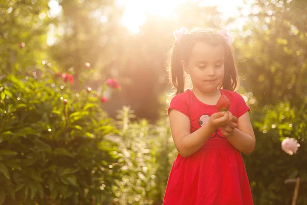 一个拿着满手野草莓的小女孩 — 图库照片
